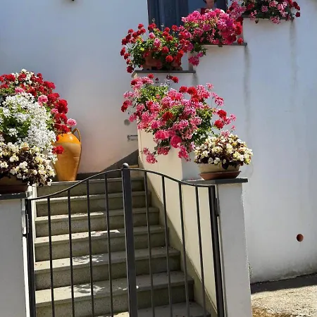 La Casetta Di Titti Holiday home Piano di Sorrento